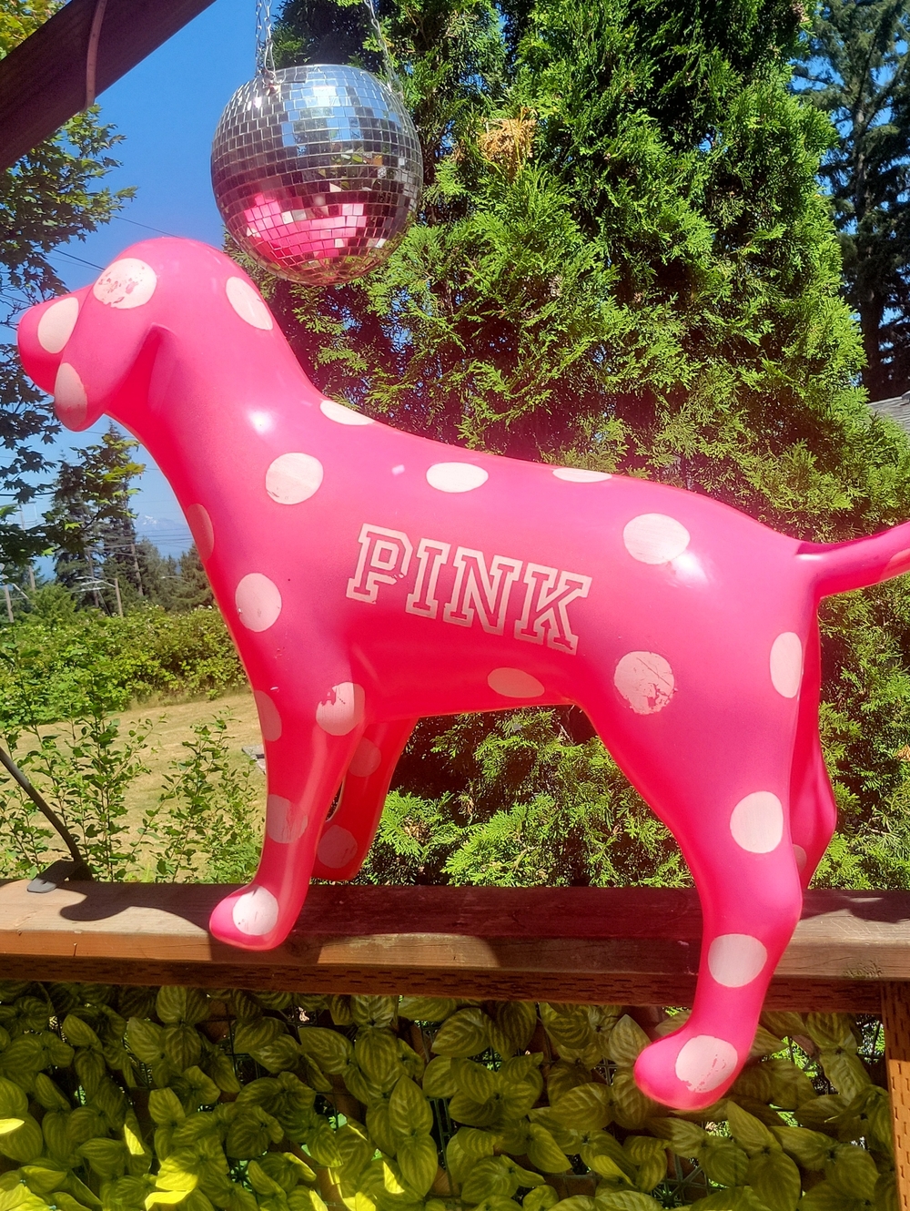 RARE HTF VS PINK Display/ Prop Neon Lifesize Plastic Dog Polka Dot XL